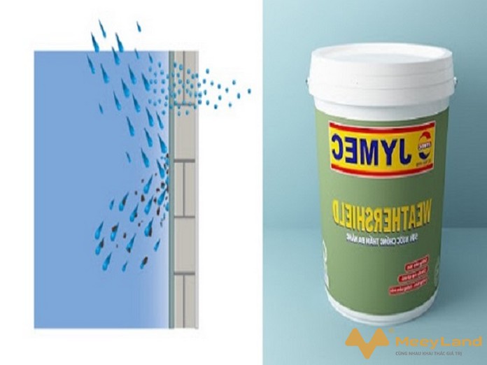 Lợi ích của việc chống thấm nhà vệ sinh trong kết cấu toàn bộ ngôi nhà quy trinh su dung son chong tham nha ve sinh - Lợi ích của việc chống thấm nhà vệ sinh trong kết cấu toàn bộ ngôi nhà - vat-lieu-xay-dung